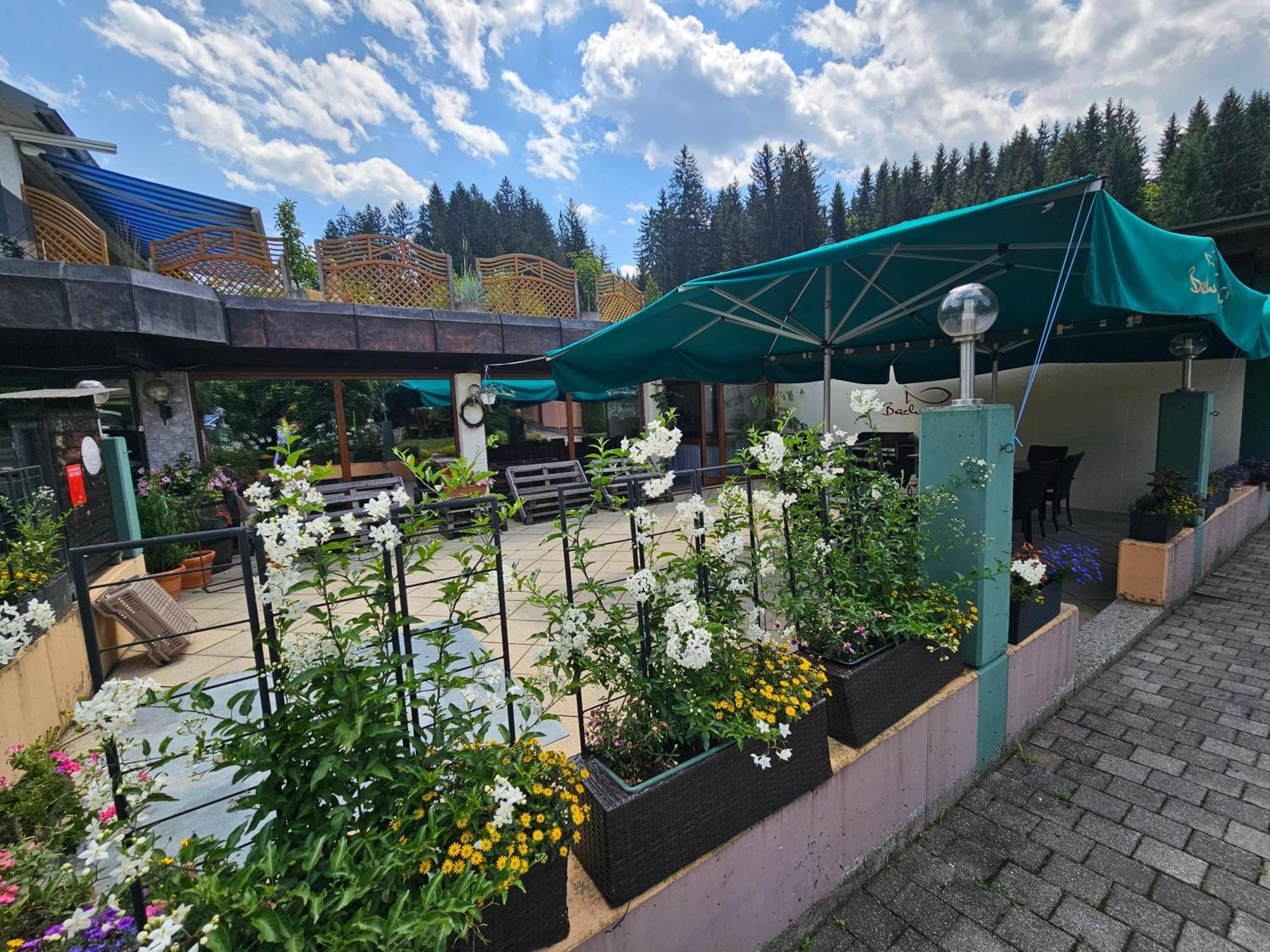 Ski&Bike Nassfeld Apartments Hermagor-Pressegger See Exteriör bild
